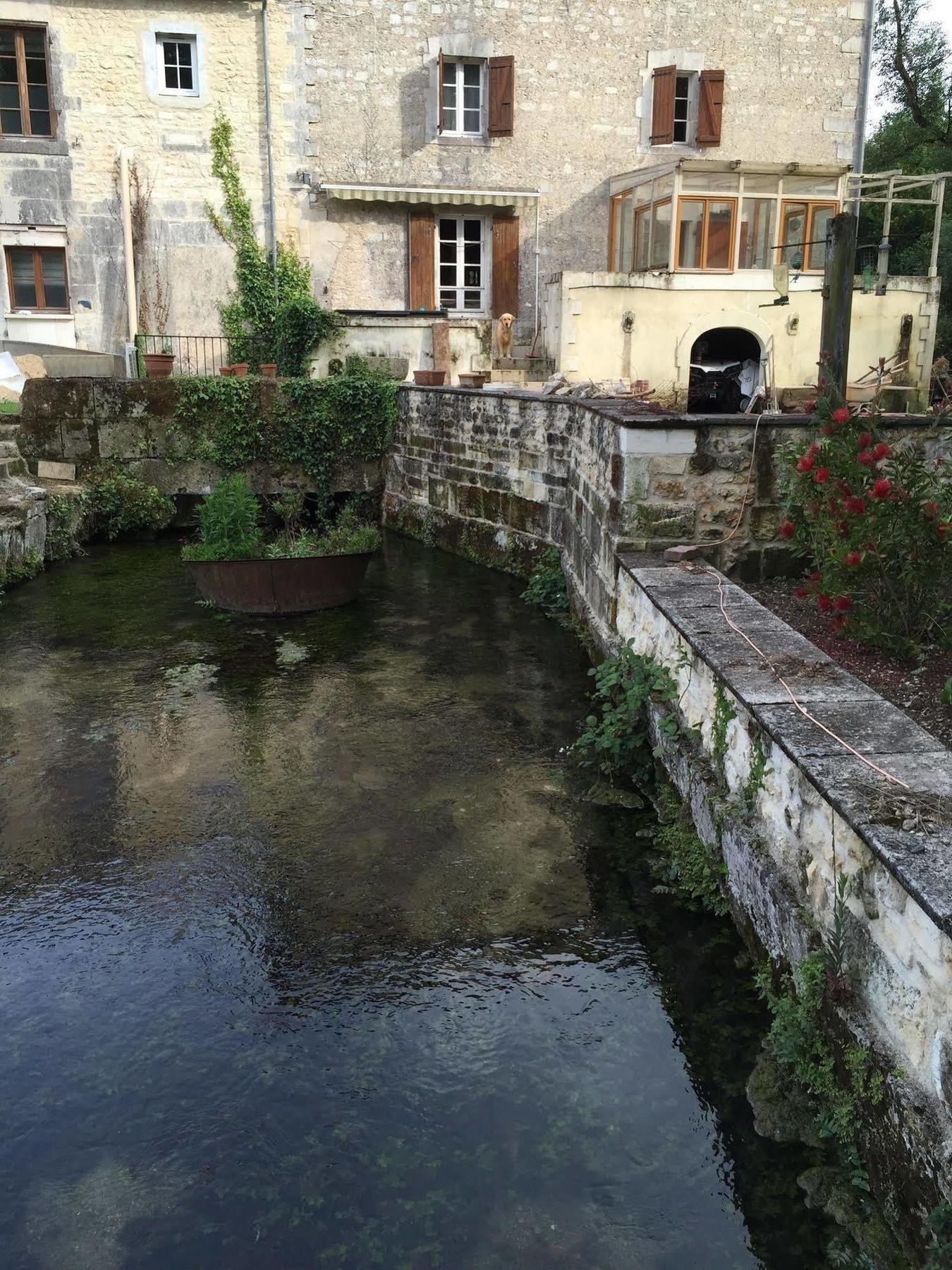 Petit Moulin De Veillard Villa Bourg-Charente Bagian luar foto